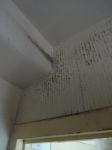Salford disabled person living hell in Salix Homes flat